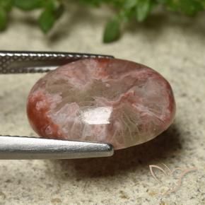 Corail Multicolore naturelle ovale, 6.22 ct, Opaque