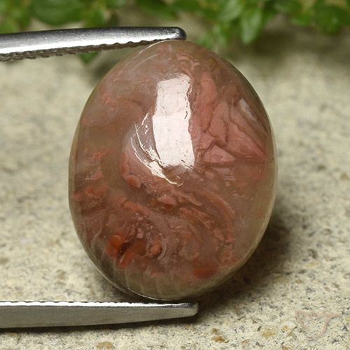 9.92ct Naturel Multicolore Corail, ovale, Translucide