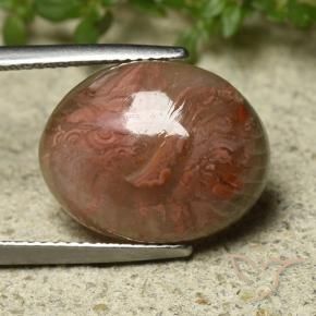 Corail Multicolore naturelle ovale, 9.92 ct, Translucide