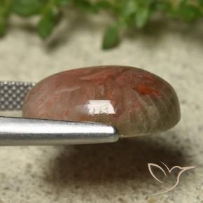 Corail Multicolore naturelle ovale, 9.92 ct, Translucide
