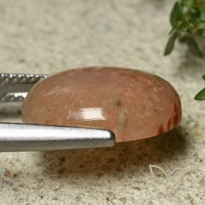 Corail Multicolore naturelle ovale, 7.45 ct, Translucide