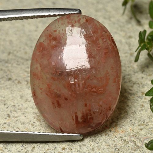 9.08ct Naturel Multicolore Corail, ovale, Translucide