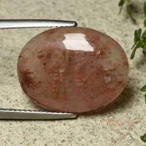 Corail Multicolore naturelle ovale, 9.08 ct, Translucide