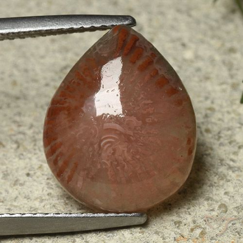 6.87ct Naturel Multicolore Corail, En forme de poire, Translucide