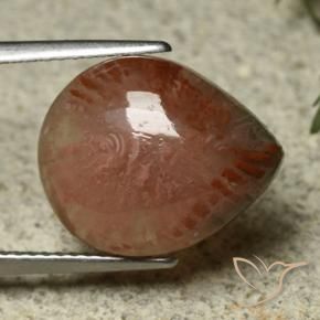 Corail Multicolore naturelle En forme de poire, 6.87 ct, Translucide