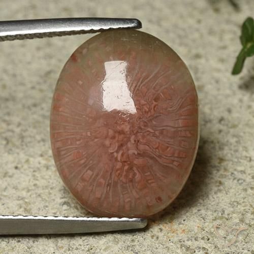 7.81ct Naturel Multicolore Corail, ovale, Translucide