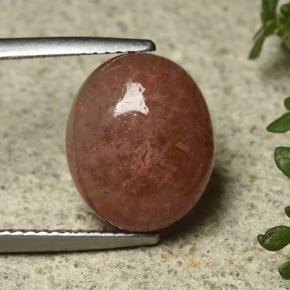 Corail Multicolore naturelle Coupe ovale, 6.35 ct, Translucide