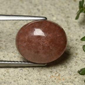 Corail Multicolore naturelle Coupe ovale, 6.35 ct, Translucide