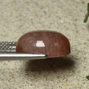 Corail Multicolore naturelle Coupe ovale, 6.35 ct, Translucide