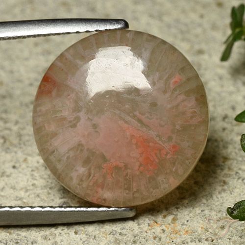 8.34ct Naturel Multicolore Corail, Tour, Translucide