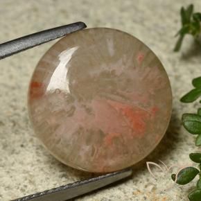 Corail Multicolore naturelle Tour, 8.34 ct, Translucide