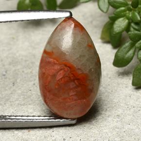 Corail Multicolore naturelle En forme de poire, 4.83 ct, Translucide