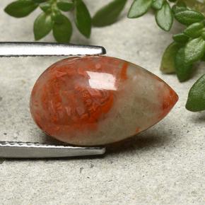 Corail Multicolore naturelle En forme de poire, 4.83 ct, Translucide