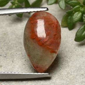 Corail Multicolore naturelle En forme de poire, 4.83 ct, Translucide