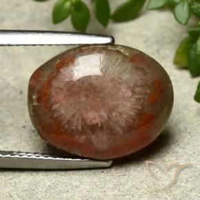 Corail Multicolore naturelle ovale, 7.03 ct, Opaque