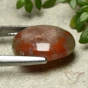 Corail Multicolore naturelle ovale, 7.03 ct, Opaque