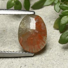 Corail Multicolore naturelle Coupe ovale, 1.88 ct, Translucide