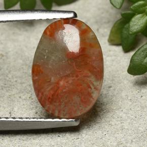Corail Multicolore naturelle Coupe ovale, 2.54 ct, Translucide