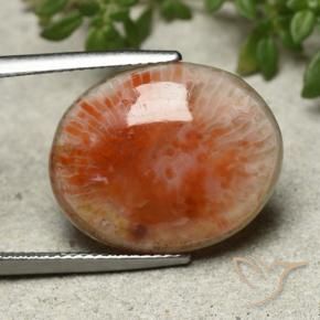 Corail Multicolore naturelle ovale, 13.21 ct, Opaque
