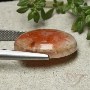 Corail Multicolore naturelle ovale, 13.21 ct, Opaque
