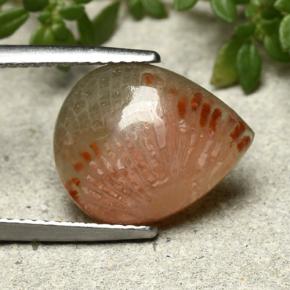 Corail Multicolore naturelle En forme de poire, 5.26 ct, Translucide