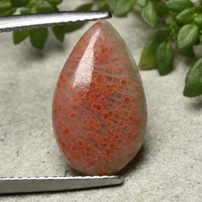 Corail multicolore naturelle en forme de poire, 3,94 ct, translucide