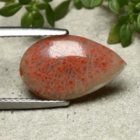 Corail multicolore naturelle en forme de poire, 3,94 ct, translucide