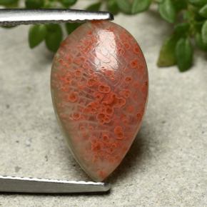 Corail multicolore naturelle en forme de poire, 3,94 ct, translucide