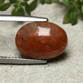 Corail Multicolore naturelle Coupe ovale, 4.35 ct, Translucide