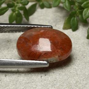 Corail Multicolore naturelle Coupe ovale, 4.35 ct, Translucide