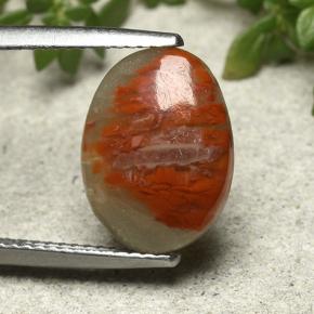 Corail multicolore naturelle coupe ovale, 3,86 ct, opaque