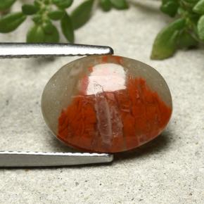 Corail multicolore naturelle coupe ovale, 3,86 ct, opaque