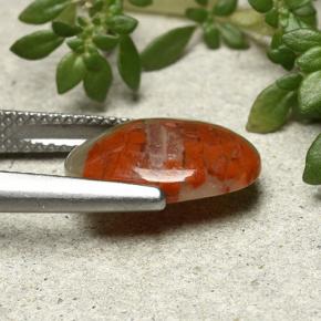 Corail multicolore naturelle coupe ovale, 3,86 ct, opaque