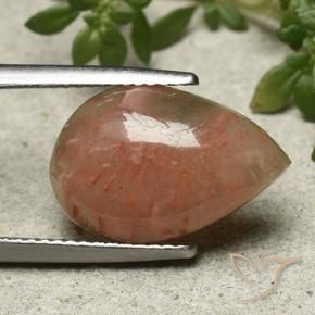Corail Multicolore naturelle En forme de poire, 6.28 ct, Translucide