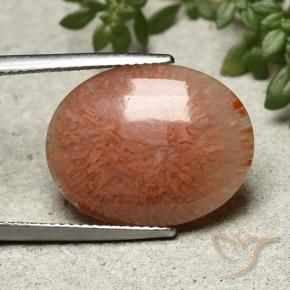 Corail Multicolore naturelle ovale, 9.51 ct, Translucide