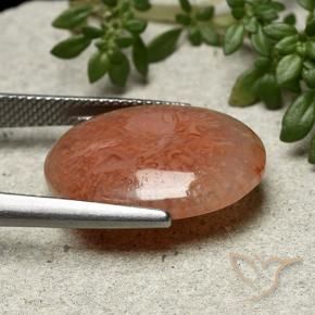 Corail Multicolore naturelle ovale, 9.51 ct, Translucide