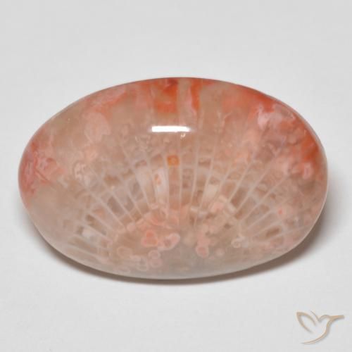 11.96ct Naturel Multicolore Corail, ovale, Opaque