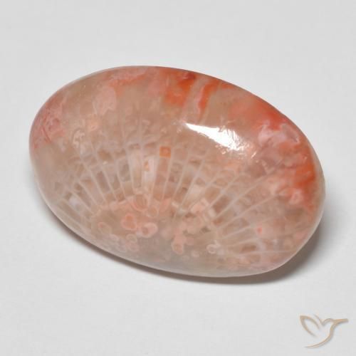 Corail Multicolore naturelle ovale, 11.96 ct, Opaque