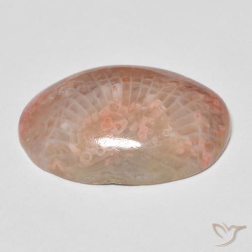 Corail Multicolore naturelle ovale, 11.96 ct, Opaque
