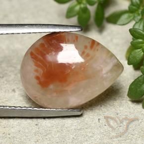 Corail Multicolore naturelle En forme de poire, 6.43 ct, Translucide