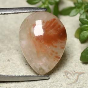 Corail Multicolore naturelle En forme de poire, 6.43 ct, Translucide