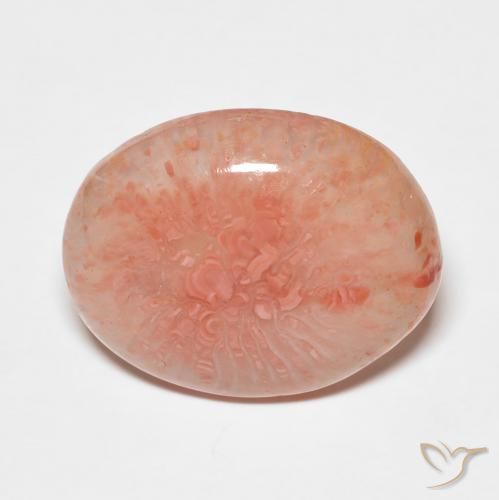 7.43ct Naturel Multicolore Corail, ovale, Translucide