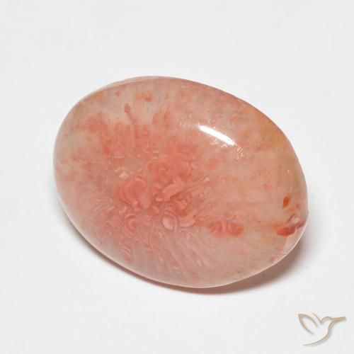 Corail Multicolore naturelle ovale, 7.43 ct, Translucide