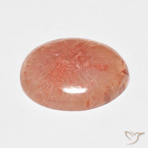 Corail Multicolore naturelle ovale, 7.43 ct, Translucide