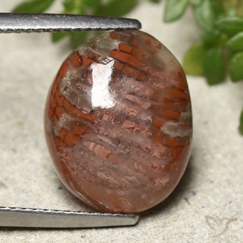 7.28ct Naturel Multicolore Corail, ovale, Translucide