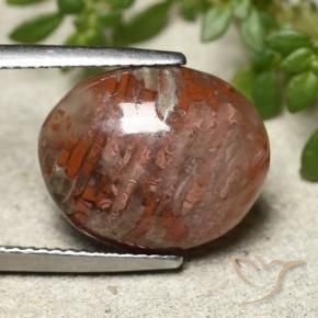 Corail Multicolore naturelle ovale, 7.28 ct, Translucide