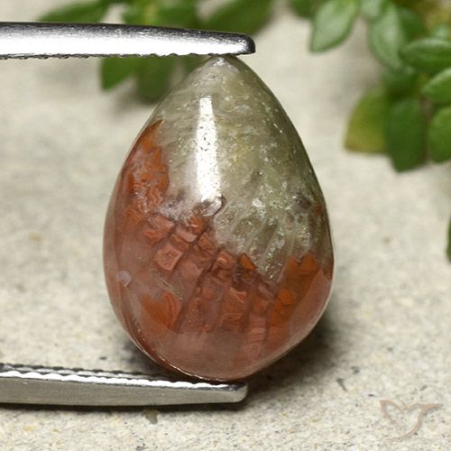 4.83ct Naturel Multicolore Corail, En forme de poire, Translucide
