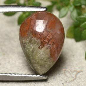 Corail Multicolore naturelle En forme de poire, 4.83 ct, Translucide
