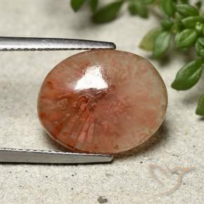 Corail Multicolore naturelle ovale, 7.91 ct, Translucide