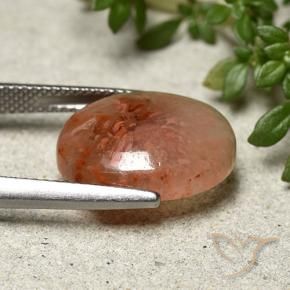 Corail Multicolore naturelle ovale, 7.91 ct, Translucide
